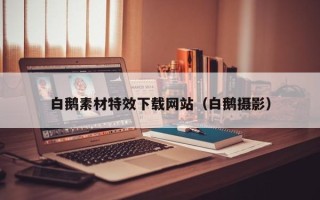 嘉兴白鹅素材特效下载网站（白鹅摄影）